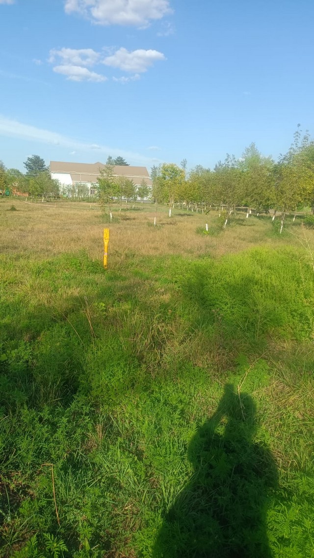 foto 2025 08 25 17 12 002