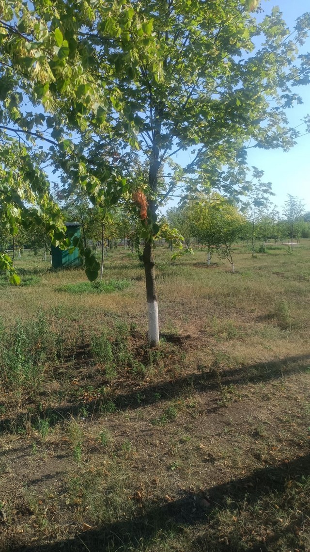 foto 2025 08 25 17 12 003