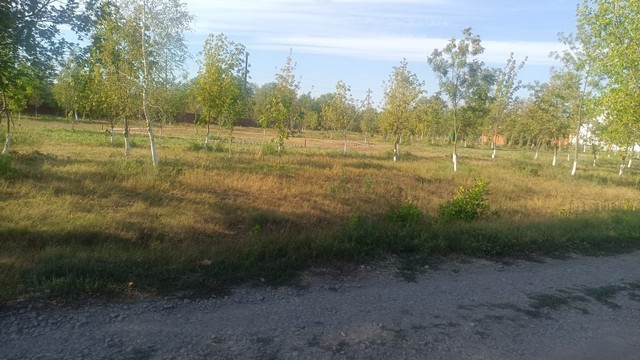 foto 2025 08 25 17 12 008
