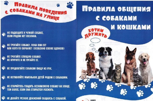 Foto 2025 09 02 14 04 004